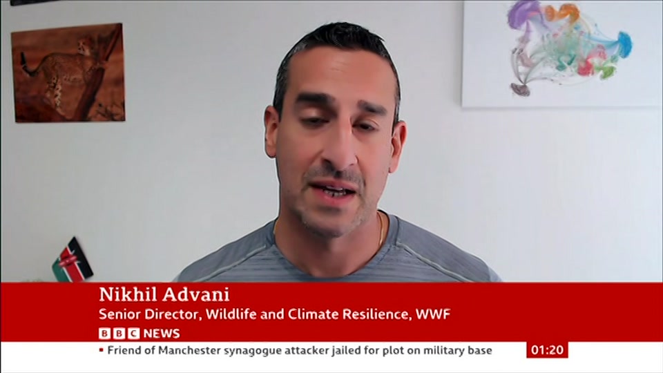 Still from BBC News at 20:00