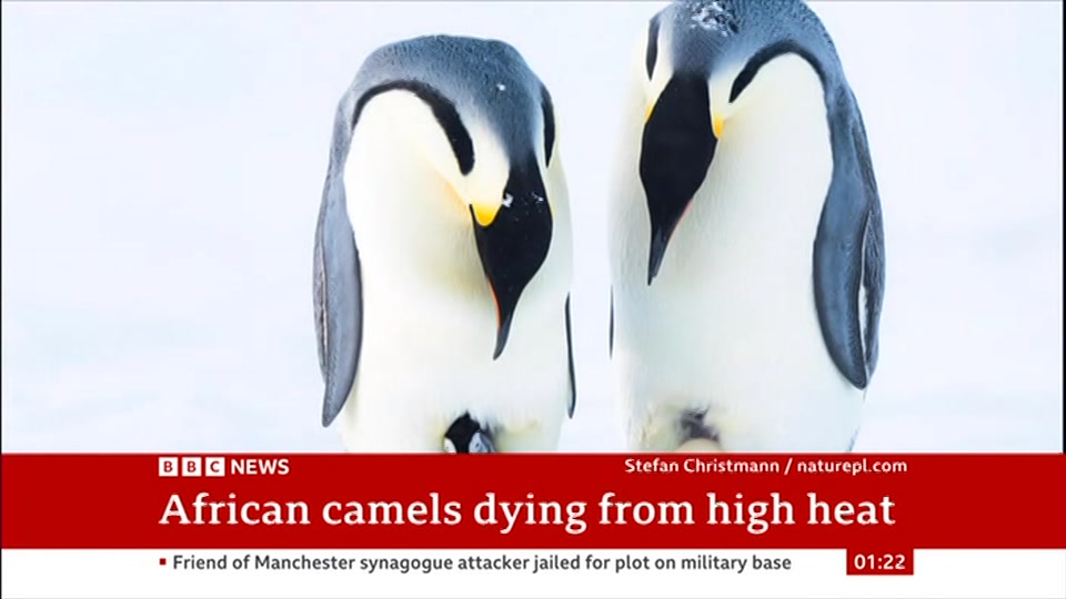Broadcast still at 22m. BBC NEWS, BBC News, 24 July 2026.