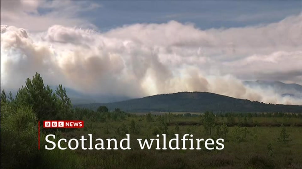 Still from BBC NEWS at 0:00