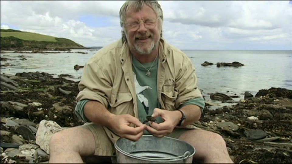 Broadcast still at 29m. BBC One, BBC News and Weather, 28 July 2026.