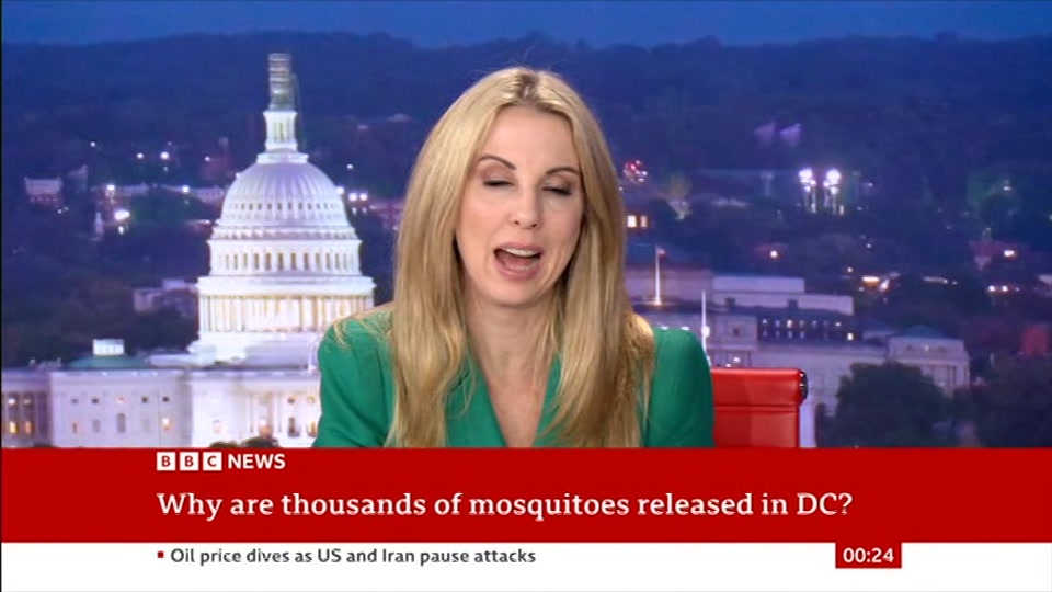 Broadcast still at 24m. BBC NEWS, BBC News, 29 July 2026.