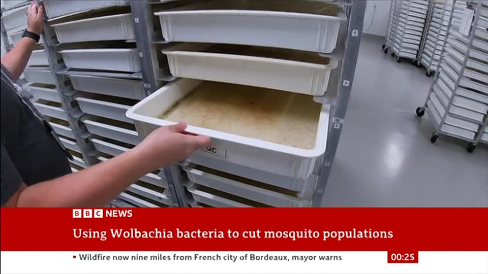 Broadcast still at 25m. BBC NEWS, BBC News, 29 July 2026.