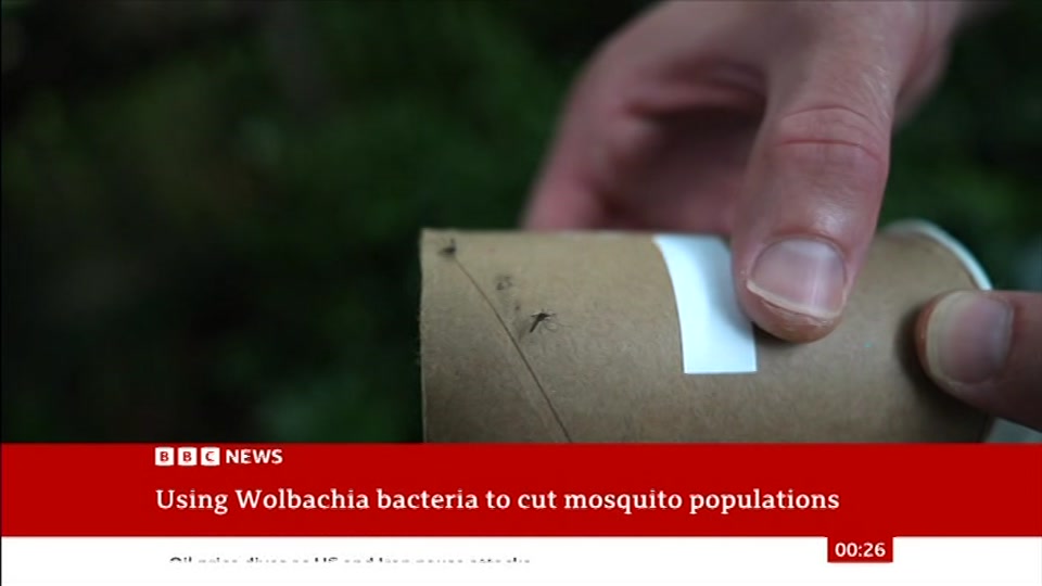 Still from BBC NEWS at 26:00