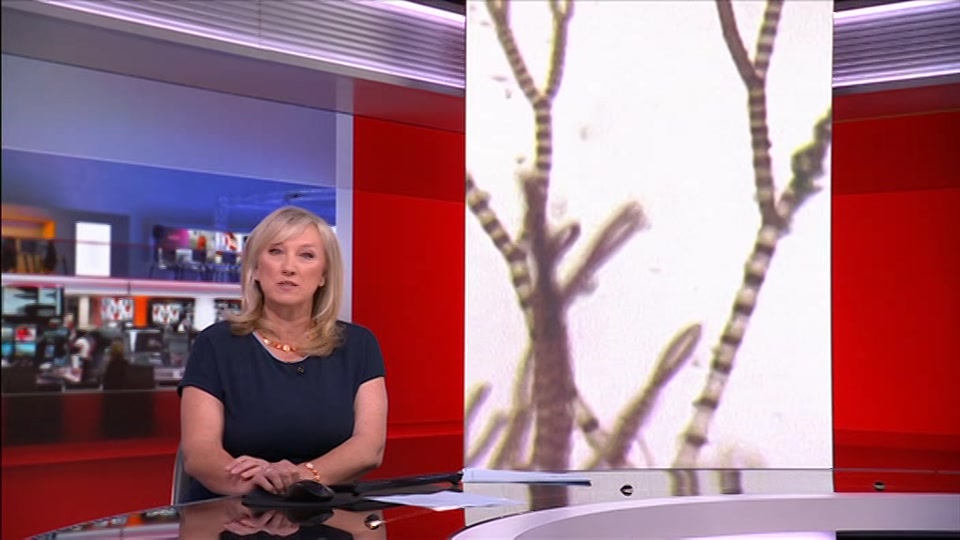 Still from BBC One at 8:00