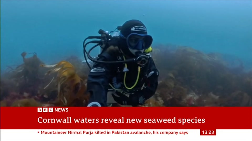 Still from BBC News at 5:00