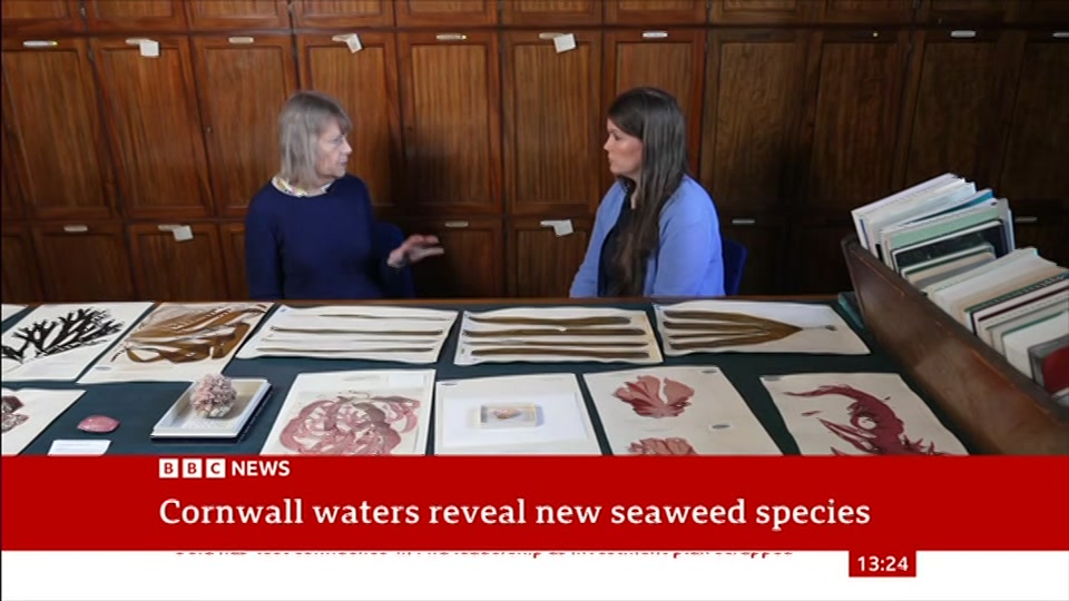 Still from BBC News at 6:00