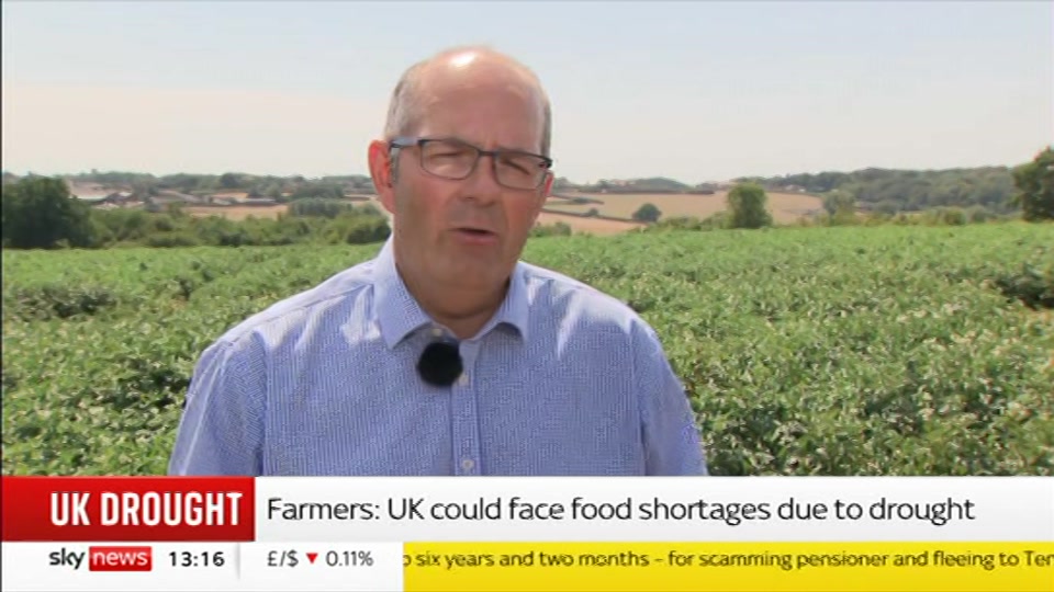 Broadcast still at 16m. Sky News, Sky News Today with Jayne Secker, 3 August 2026.