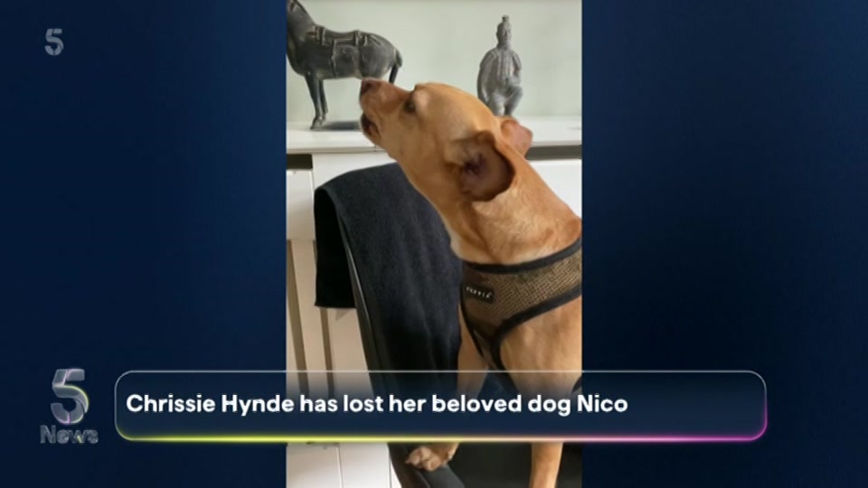 Broadcast still at 20m. 5, 5 News with Dan Walker, 6 August 2026.
