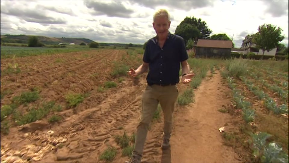 Broadcast still at 38m. BBC ONE West, BBC News at One including..., 6 August 2026.