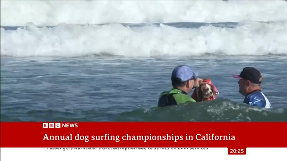Still from BBC News at 25:00