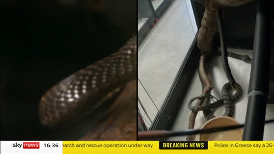 Still from Sky News at 6:00