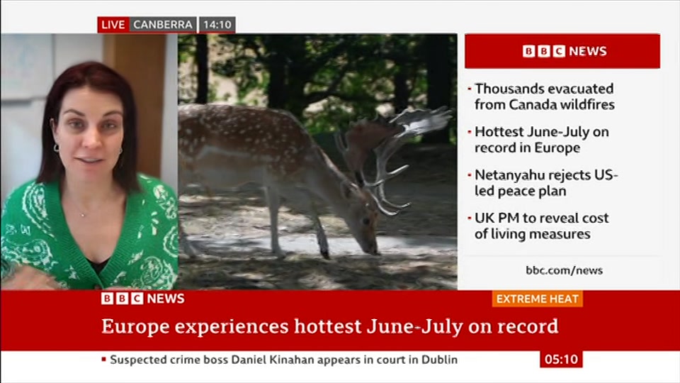 Still from BBC News at 10:00
