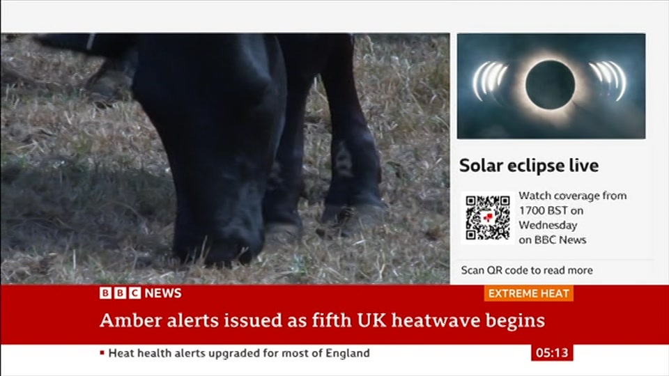 Still from BBC News at 13:00