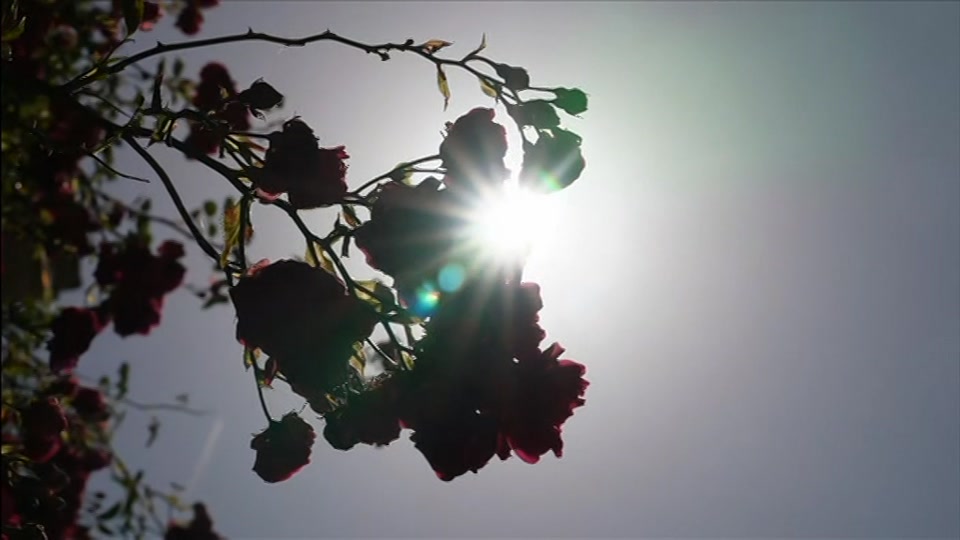 Still from BBC One at 10:00