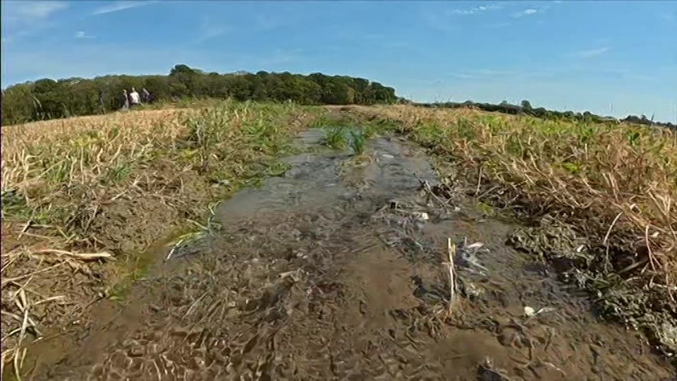 Broadcast still at 9m. BBC ONE West, BBC News and Weather, 11 August 2026.