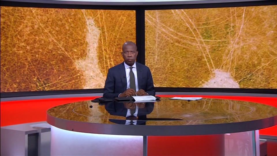 Still from BBC One at 14:00