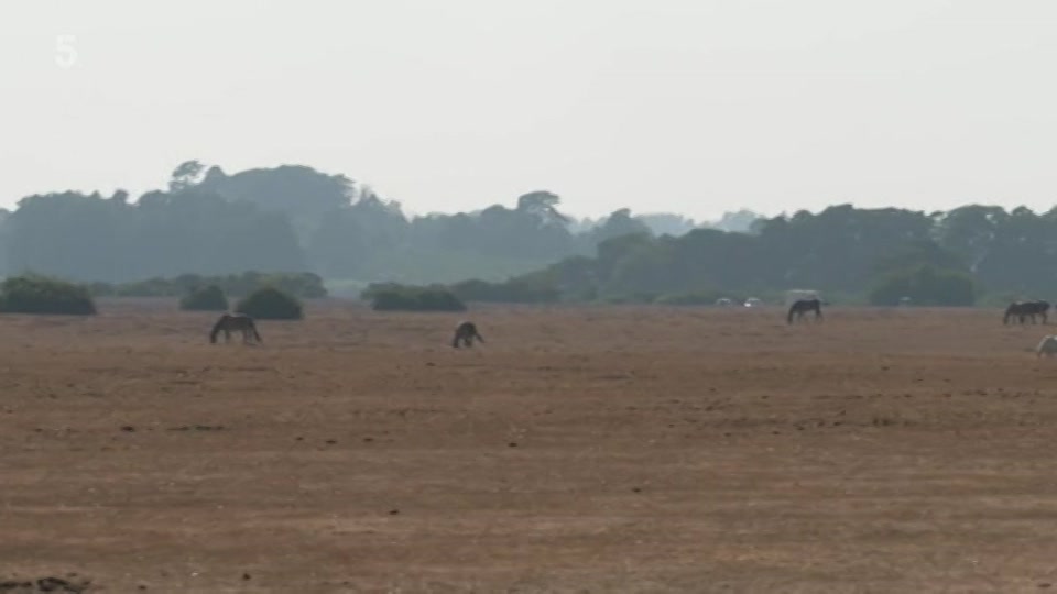 Still from Channel 5 at 7:00