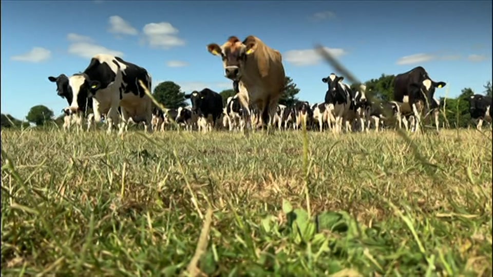 Still from BBC One at 30:00