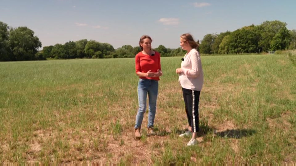 Still from ITV at 3:00