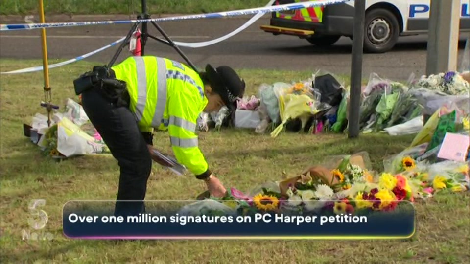 Broadcast still at 29m. Channel 5, 5 News with Dan Walker, 17 August 2026.