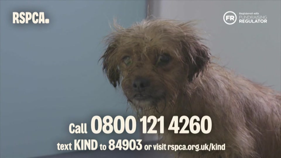 Broadcast still at 20m. ITV, ITV Evening News, 17 August 2026.