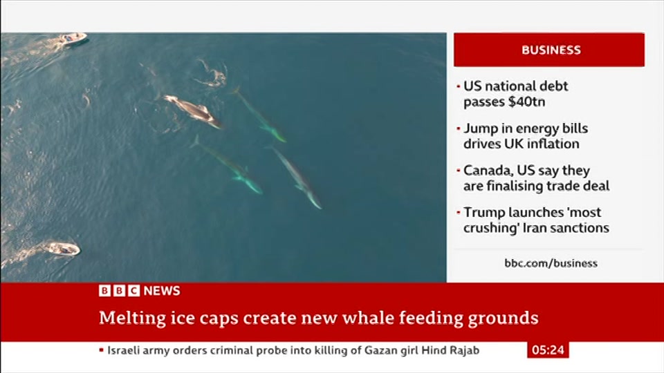 Still from BBC News at 24:00