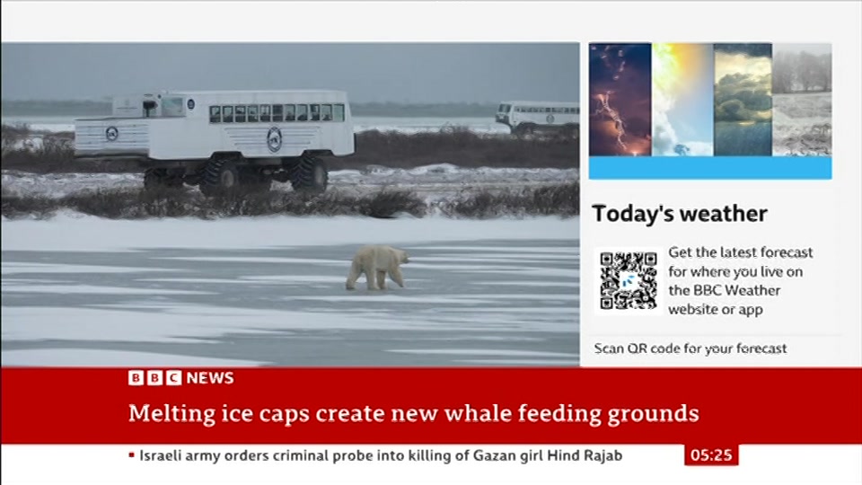 Broadcast still at 25m. BBC News, 20 August 2026.