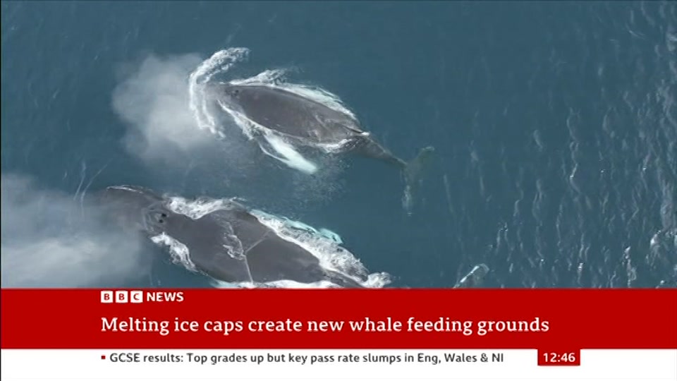 Broadcast still at 16m. BBC News, BBC News Now, 20 August 2026.
