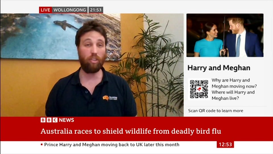Broadcast still at 23m. BBC News, BBC News Now, 20 August 2026.