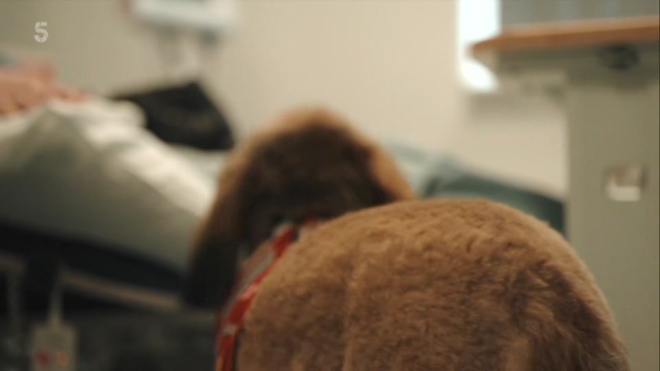 Still from Channel 5 at 40:00