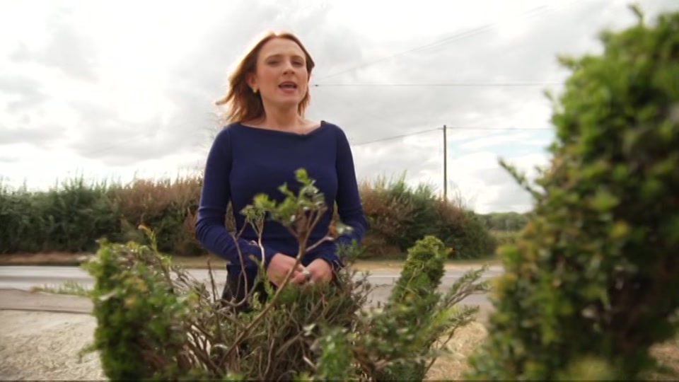 Broadcast still at 54m. ITV, ITV Evening News, 21 August 2026.